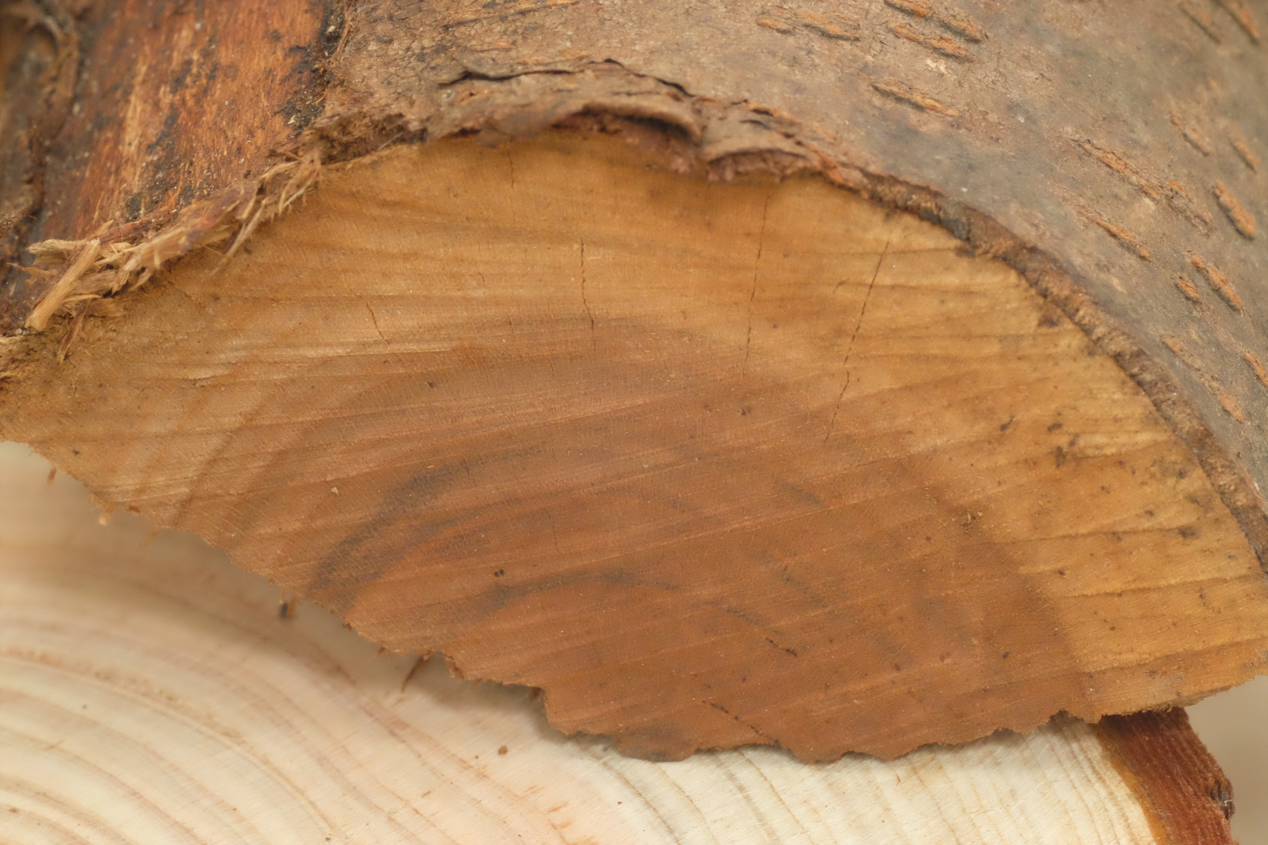 サクラ薪の材の特徴