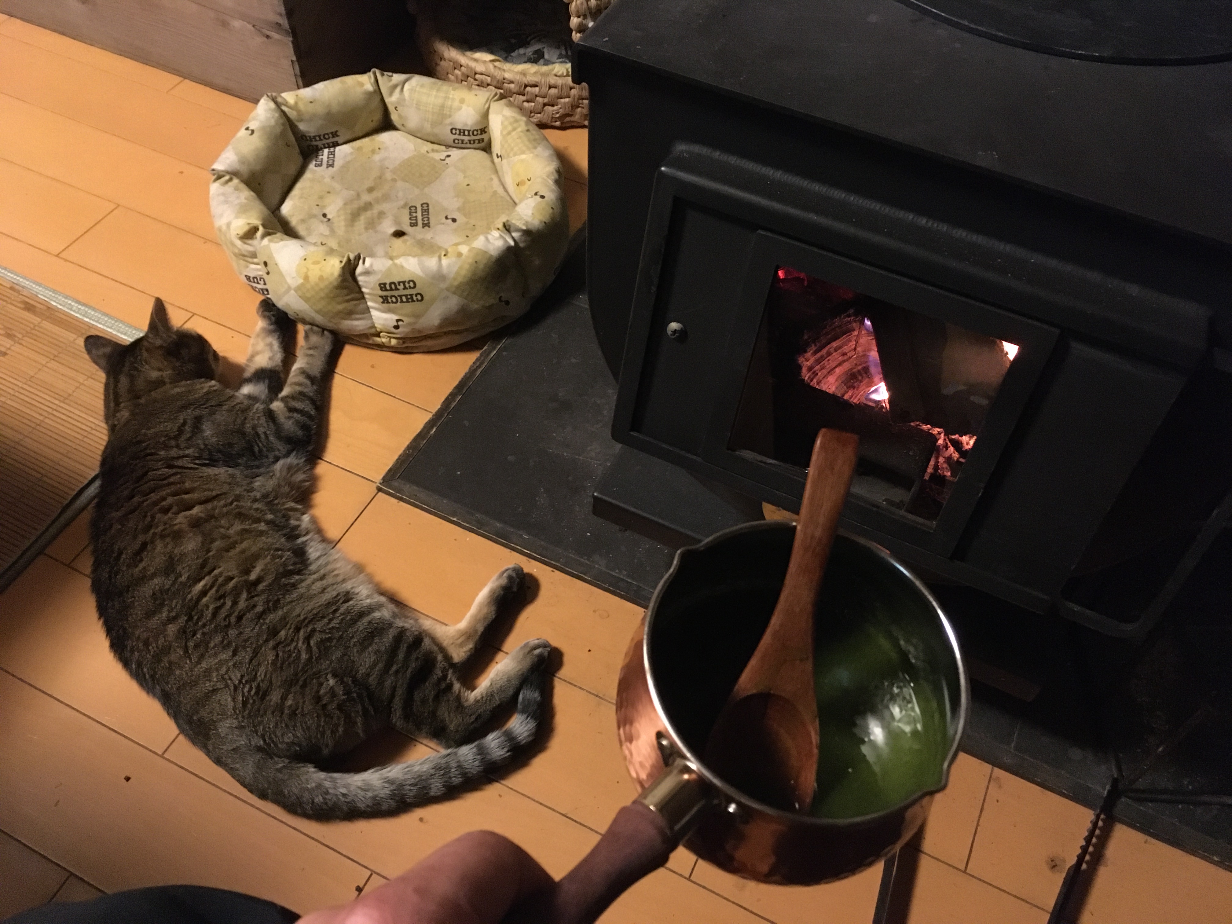 大屋家の飼い猫「しま」